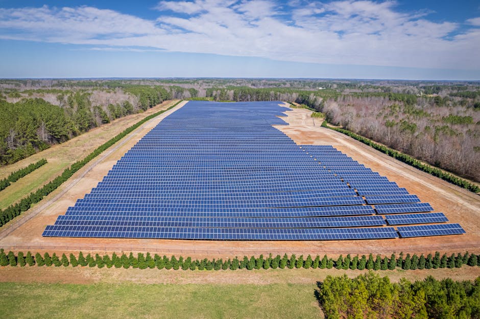 Solar panels in North Carolina: residential installation cost and savings 2026