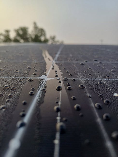 How Long Do Solar Panels Last: Lifespan & Factors